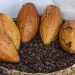 Las madres del cacao, otro «oro negro» en Venezuela