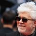 Almodóvar prepara su primera película en EE. UU., afirma productora de El Deseo