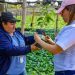 Viveristas de café agradecen el apoyo del Gobierno de El Salvador