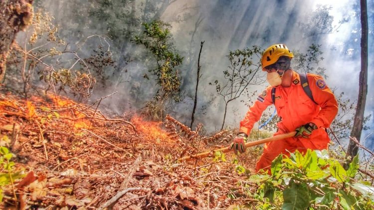 Cada año los bomberos atienden un sin número de emergencias por incendios forestales.