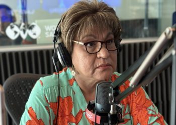 Docente desprecia el voto de la diáspora para 2024