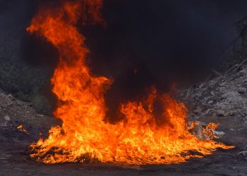 Destruyen droga incautada en más de 20 casos en diferentes zonas de El Salvador