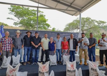 MAG lanza proyecto para abastecer de frijol a mercados locales 