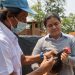 El Salvador sigue libre de gripe aviar