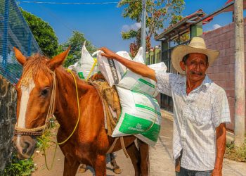 Agricultores salvadoreños favorecidos con más paquetes para la siembra