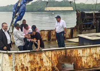 Autoridades confirman veda de camarón marino a escala nacional