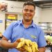 Supermercado ofrecerá productos cultivados por estudiantes de la ENA