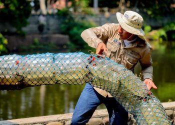 MITUR inicia con instalación de río bardas en Playa El Tunco