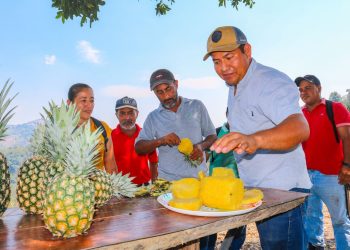 Centa impulsa el manejo orgánico entre agricultores