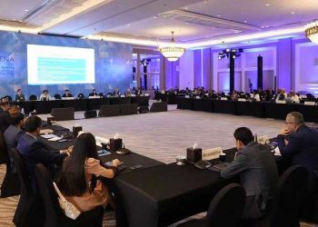 El Salvador presidirá el Comité del Programa y Estrategia de IRENA
