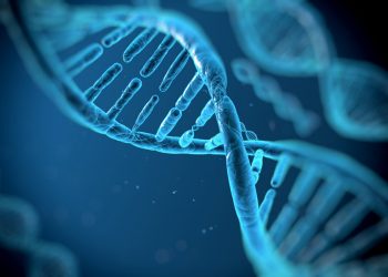 ADN humano recuperado de un colgante de unos 20,000 años