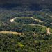 Científicos simularán cambio climático en la Amazonía para estudiar sus efectos