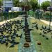 Cambio climático multiplica por 30 riesgo de olas de calor extremas en Asia, según estudio