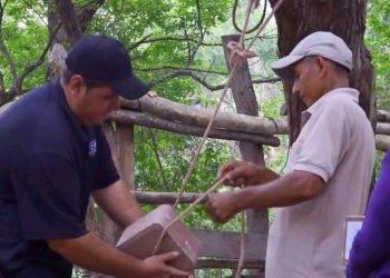 Ganaderos reciben bloques nutricionales