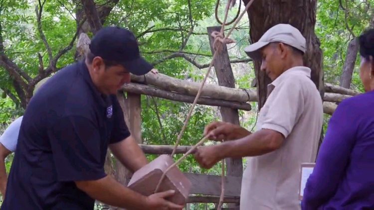 Los ganaderos son de las comunidades San
Simón y La Barca, de Mercedes Umaña.