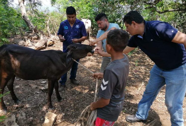 Foto/ Diario El Salvador