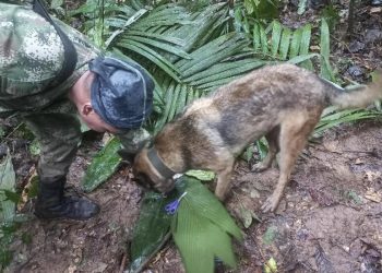 Hallan vivos a cuatro niños tras 17 días perdidos en la selva colombiana