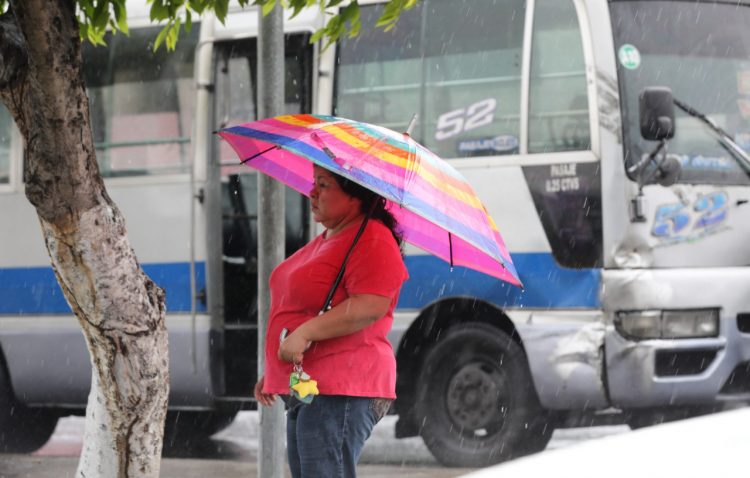 Foto: Francisco Campos/ Diario El Salvador.