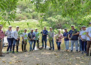 Más de 1,000 hectáreas serán reforestadas en río Comalapa, San Luis Talpa