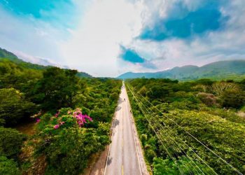 Asamblea aprueba Ley para reforestar la Ruta de Las Flores