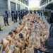 Gobierno de El Salvador continuará el combate a las pandillas con régimen de excepción
