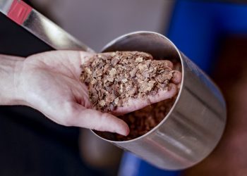 Una fábrica alemana almacena carbono en cáscaras de granos de cacao