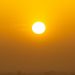 Japón vivió su primavera más cálida desde que se tienen registros