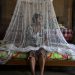 Perú, sumido en el peor brote de dengue de los últimos tiempos