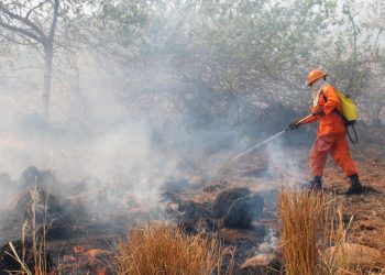 Alerta verde decretada por peligro de incendios queda sin efecto, anuncia Protección Civil