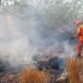 Alerta verde decretada por peligro de incendios queda sin efecto, anuncia Protección Civil