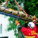 USAR El Salvador sigue capacitándose en Panamá como equipo de élite mundial