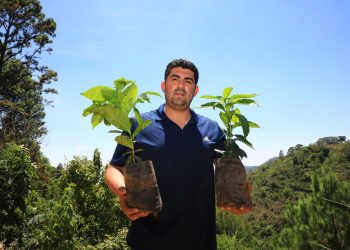 Productor chalateco apuesta por el café de especialidad