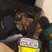 Detienen a más de 200 agresores por trata de personas
