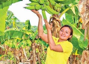A sus 22 años Nicole es una productora referente en Jiquilisco, Usulután