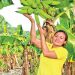A sus 22 años Nicole es una productora referente en Jiquilisco, Usulután