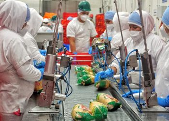 CMI invierte $7 millones en mejoras de planta avícola en El Salvador