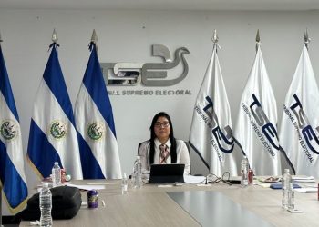 TSE pedirá que elecciones internas se prorroguen 15 días más