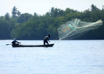 La veda del camarón finaliza mañana 16 de junio en El Salvador