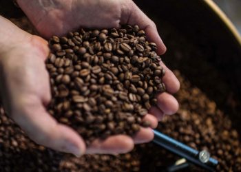 MOCCA ha gestionado $68 millones en créditos para el sector agrícola 