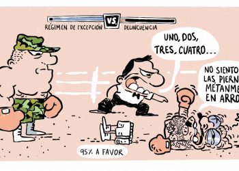 95 % a favor