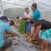 Rural Adelante impulsa a las cooperativas de El Salvador