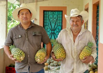 Llevarán a cabo el festival de la piña en Santa María Ostuma, La Paz