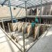 Mercado en Candelaria de la Frontera tiene avance de 90 %