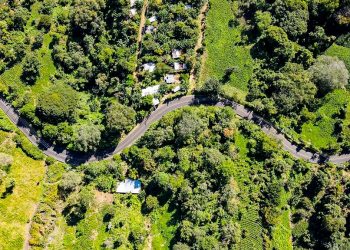 Gobierno de El Salvador invertirá $100 millones en caminos rurales