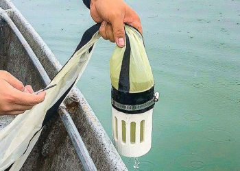 Analizan el agua del lago de Ilopango por reportes de mortandad de peces