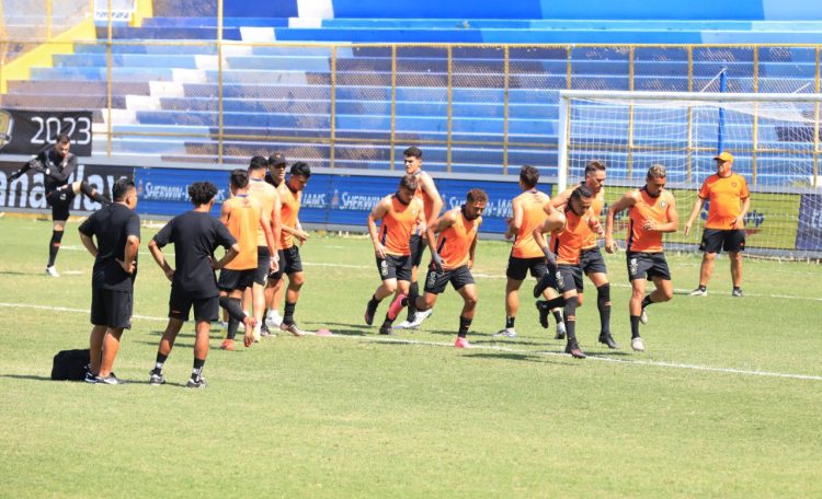 Foto / Guillermo Martínez