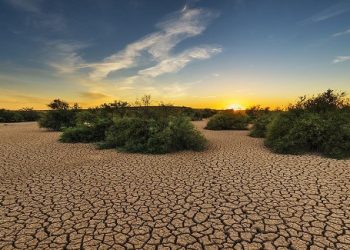 Sequía inédita en Dinamarca desde 2006, tras dos semanas sin lluvia