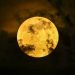 FOTOS: «Luna del Ciervo», la primera superluna del año adornó los cielos del mundo