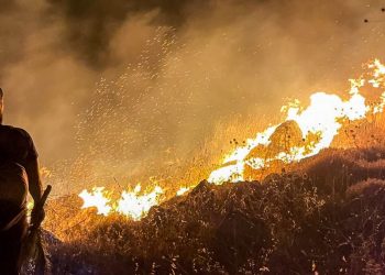 El calor agobia a medio planeta y multiplica los incendios forestales