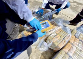 Incineran 1,500 kilos de cocaína decomisada en dos procedimientos en el país